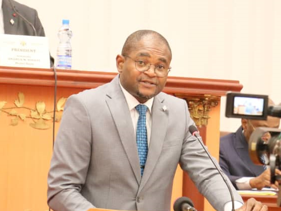 PALAIS LÉON MBA: Grand chelem parlementaire pour l’Honorable Kévin Éric Edzang Ndong Nkoulou à l’Assemblée Nationale!